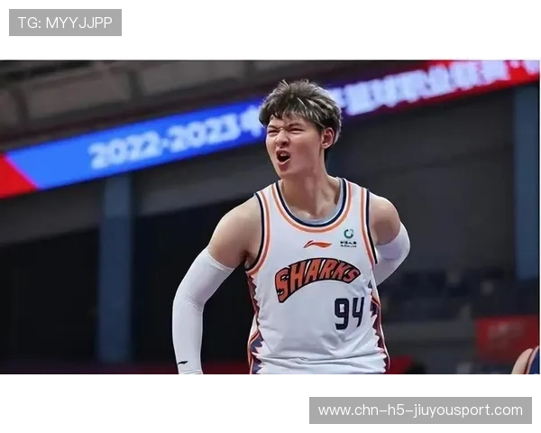 上海久事王哲林内部争执：背后的影响与未来布局