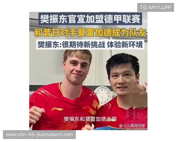 乒乓德甲俱乐部商业困境下的管理创新探索，德国乒乓球联赛收入