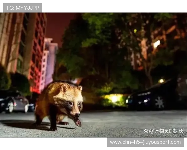 野生动物进城：人类安全何在？，野生动物入侵城市