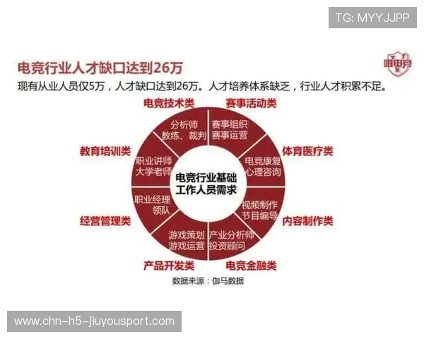 电竞行业青训选拔流程与公正性